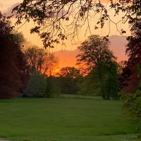 Chateau De Juvigny エクステリア 写真