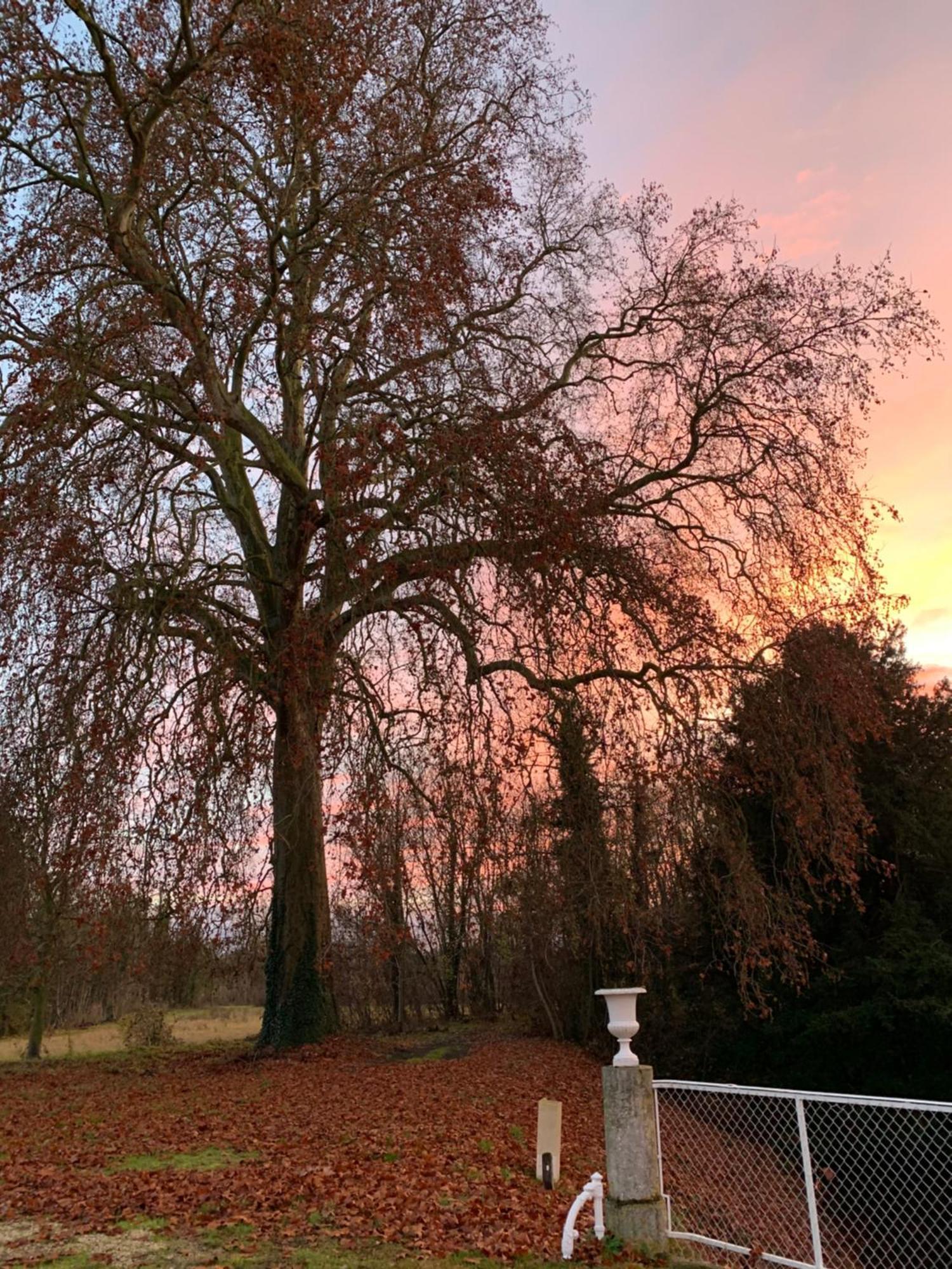 Chateau De Juvigny エクステリア 写真